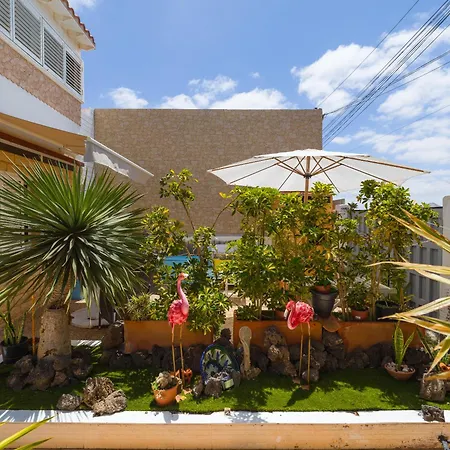 Solo Adultos, Tuneras * ラ・オリーバ