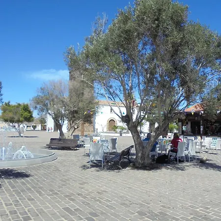 カントリーハウス Solo Adultos, Tuneras