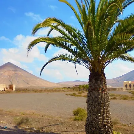 Solo Adultos, Tuneras * ラ・オリーバ